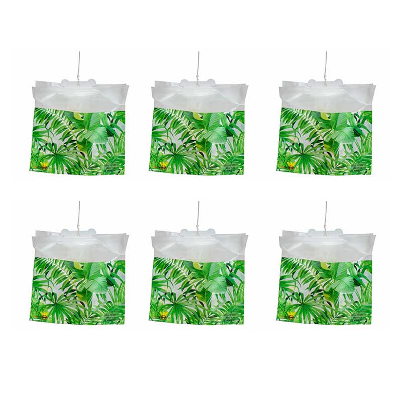 Disposable Fly Trap Set Of 6