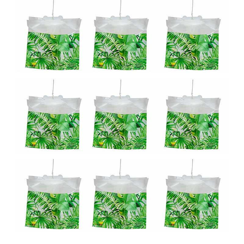 Disposable Fly Trap Set Of 9